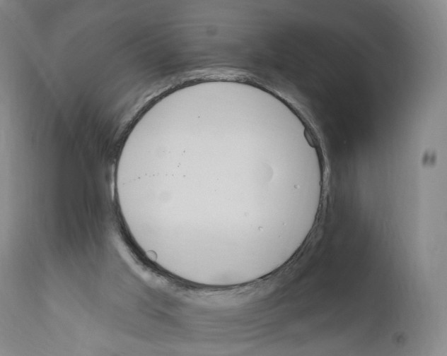 X0000110900013200907301617