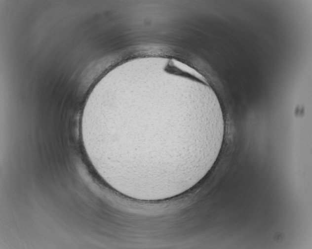 X0000110900014200907301617