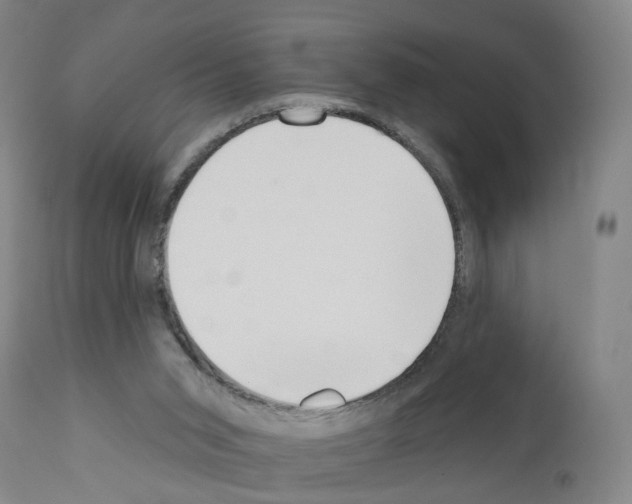 X0000110900015200907301617