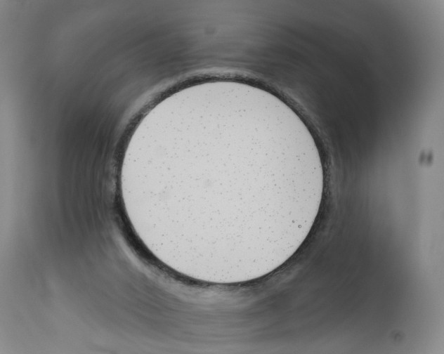 X0000110900016200907301617