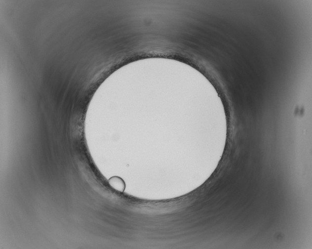 X0000110900017200907301617