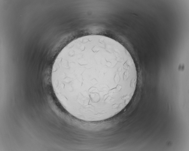 X0000110900018200907301617