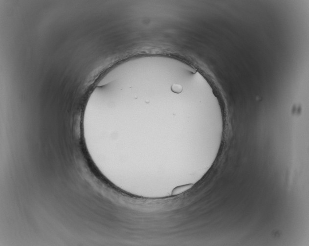 X0000110900019200907301617