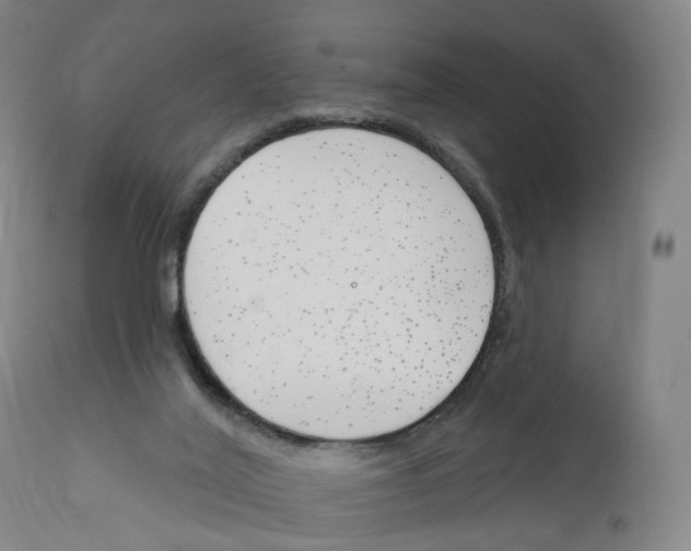 X0000110900020200907301617