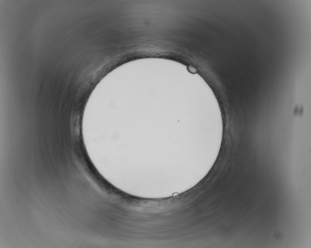 X0000110900021200907301617