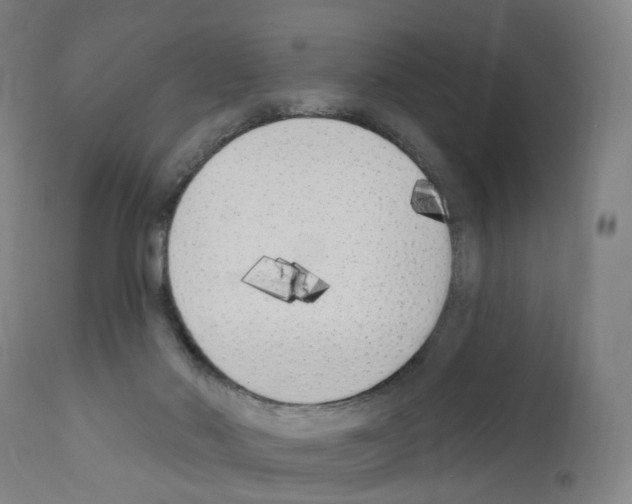 X0000110900022200907301617