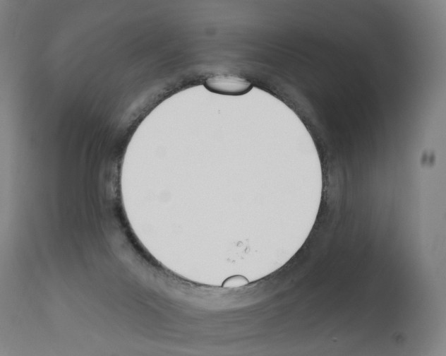 X0000110900023200907301617