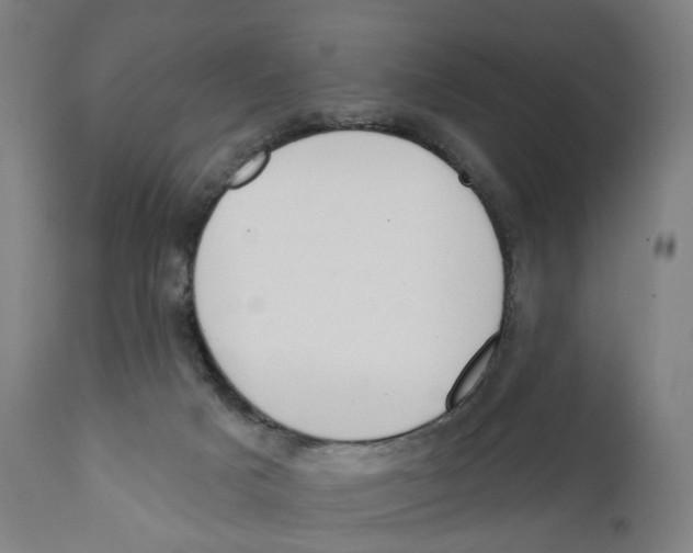 X0000110900025200907301617