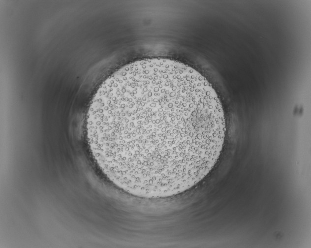 X0000110900026200907301617