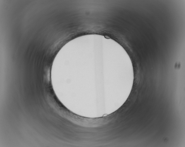 X0000110900027200907301617