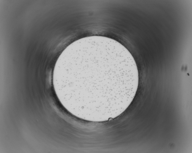 X0000110900028200907301617