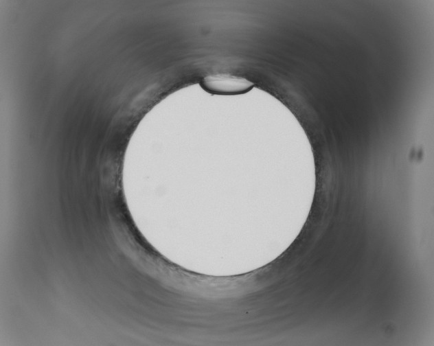 X0000110900031200907301616