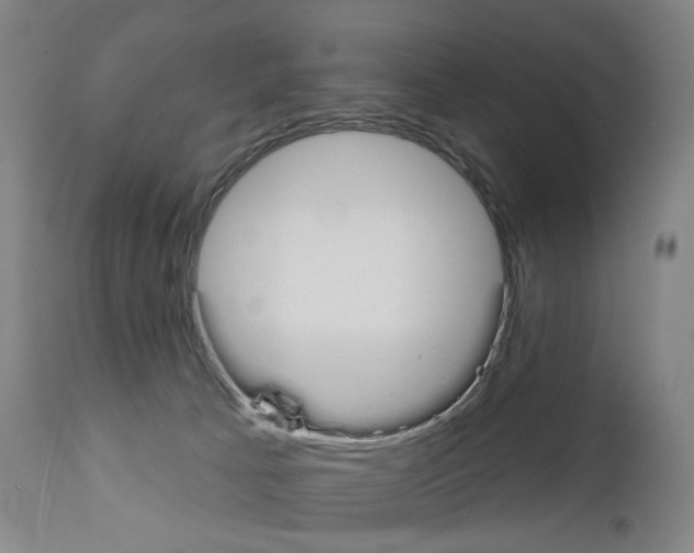 X0000110900033200907301616