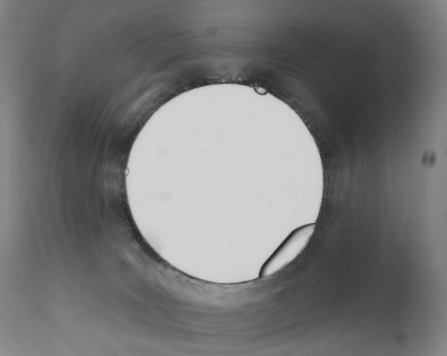 X0000110900035200907301616