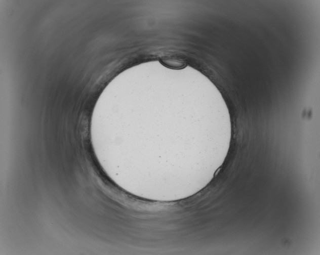 X0000110900036200907301616