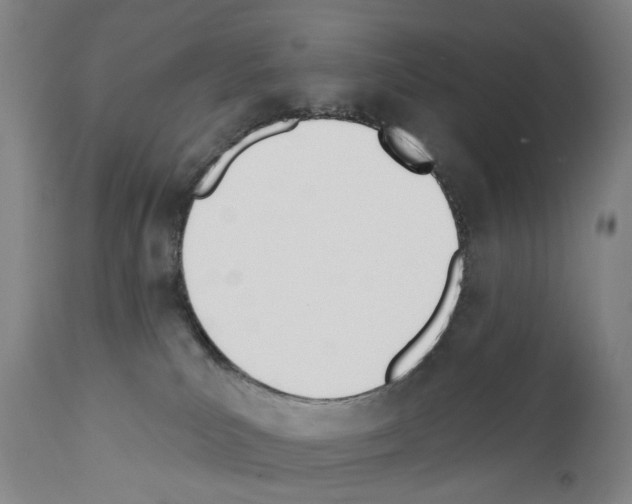 X0000110900039200907301616