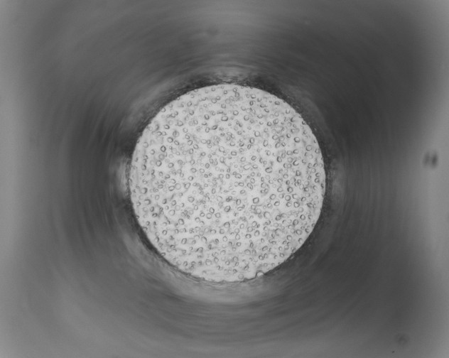 X0000110900042200907301616