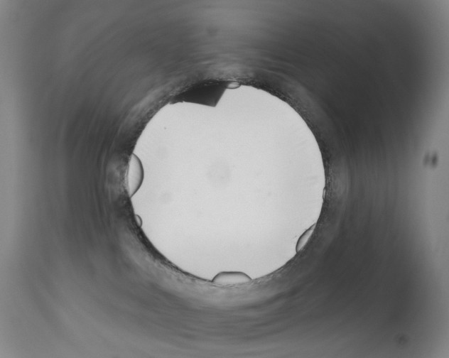 X0000110900043200907301616