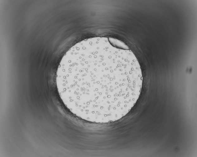 X0000110900044200907301616