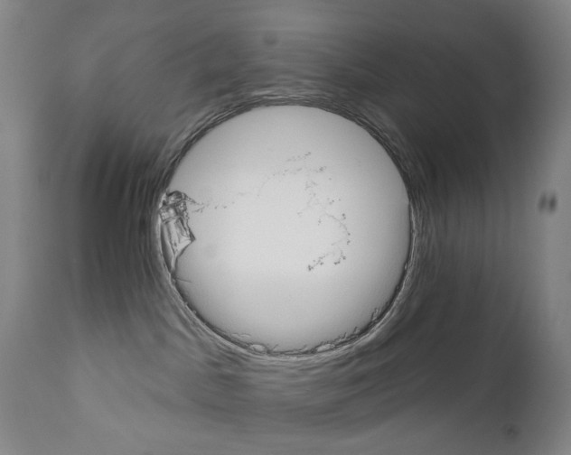 X0000110900045200907301616