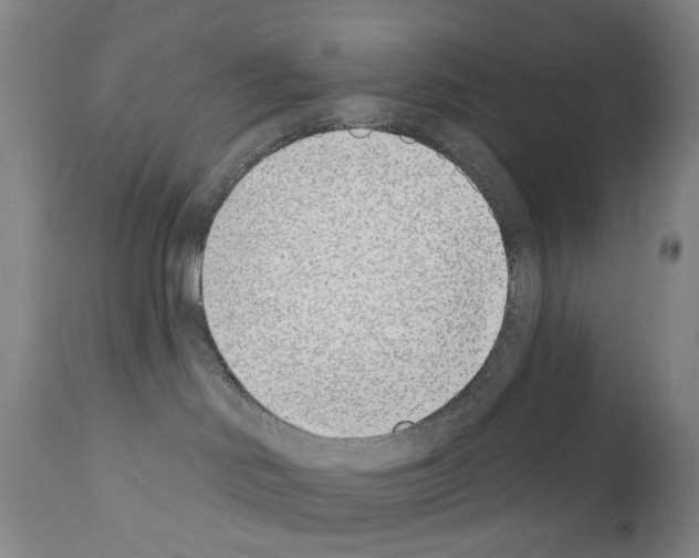 X0000110900046200907301616