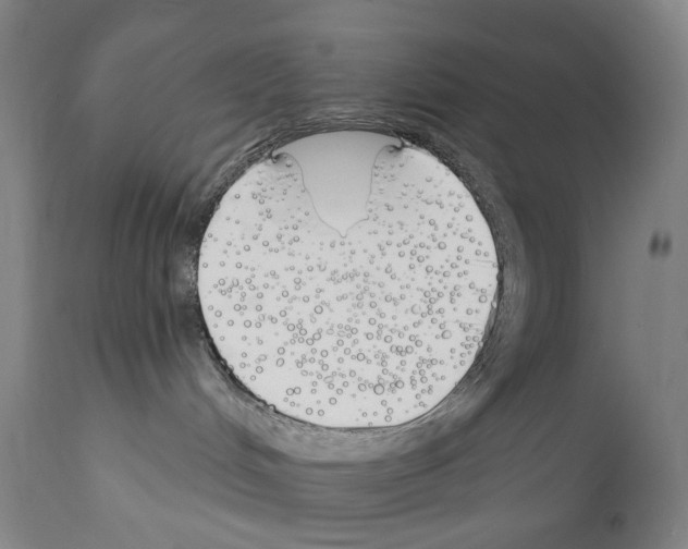 X0000110900048200907301616