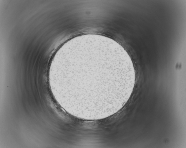 X0000110900050200907301616