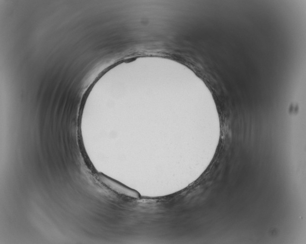 X0000110900052200907301616