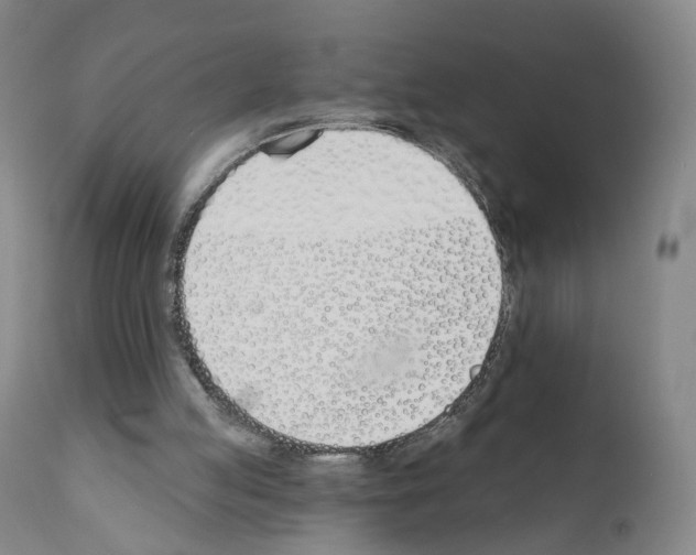 X0000110900053200907301616