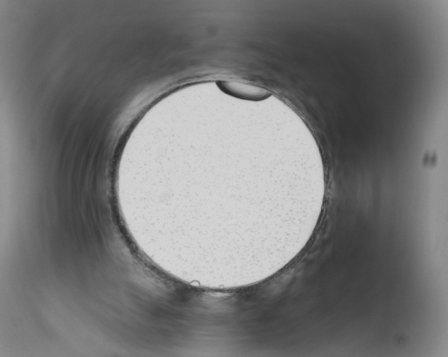 X0000110900055200907301616