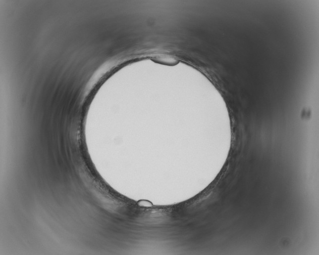 X0000110900056200907301616