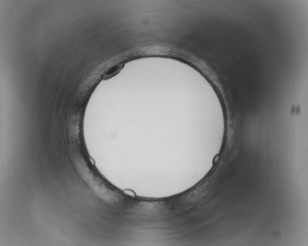 X0000110900057200907301616