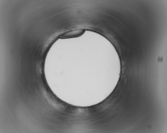 X0000110900060200907301616