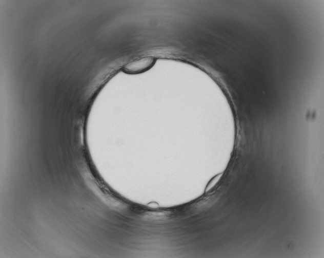 X0000110900061200907301616