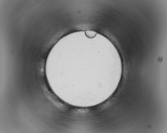 X0000110900065200907301616