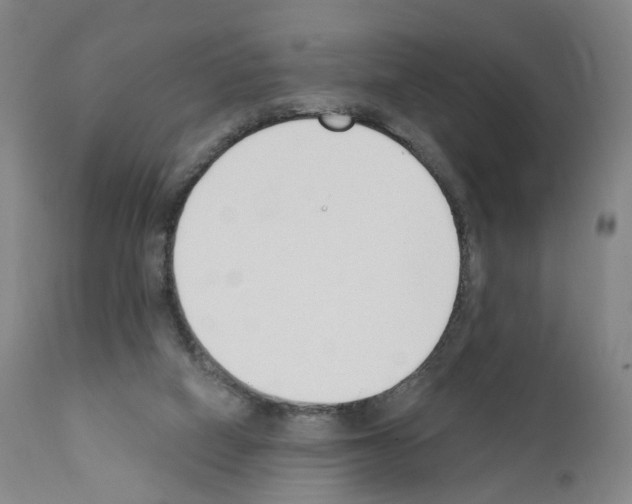 X0000110900066200907301616