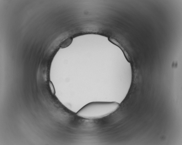 X0000110900068200907301616