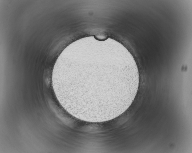 X0000110900069200907301616