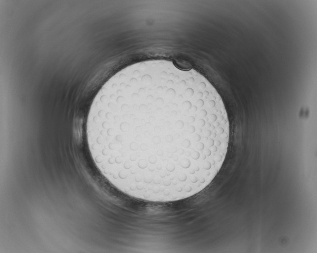 X0000110900070200907301616