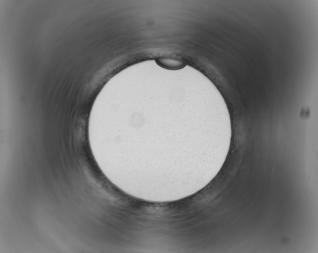 X0000110900071200907301616