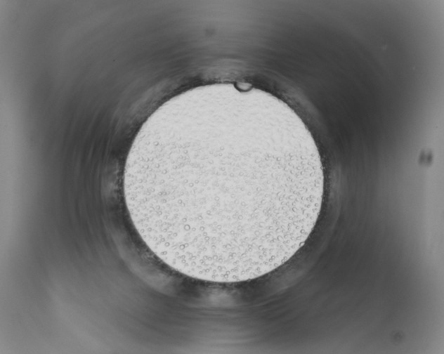 X0000110900073200907301616