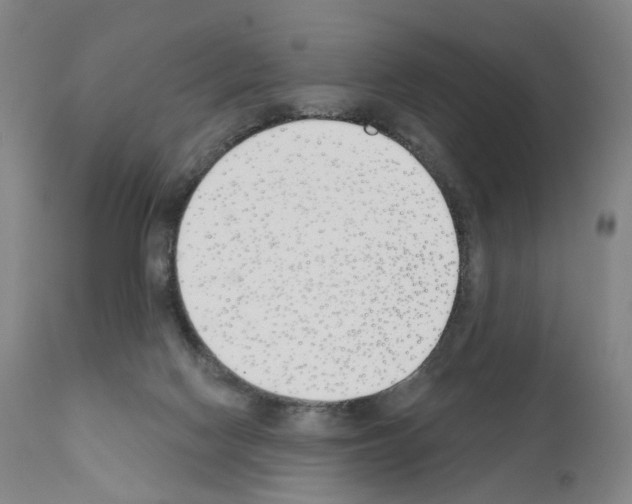 X0000110900074200907301616