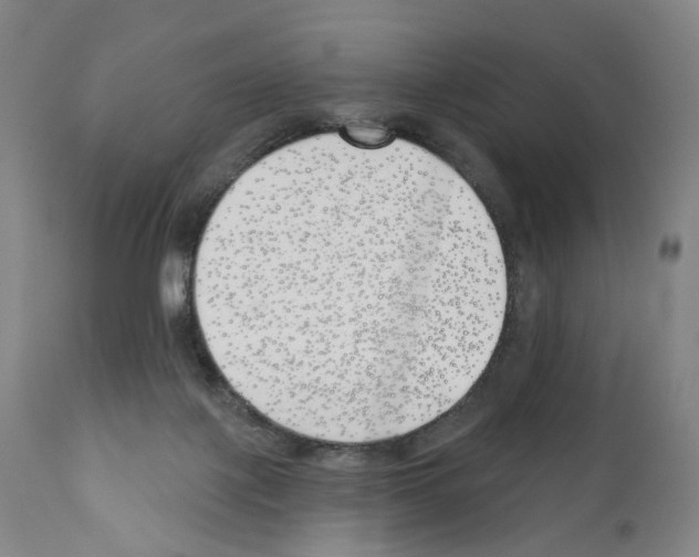 X0000110900075200907301616