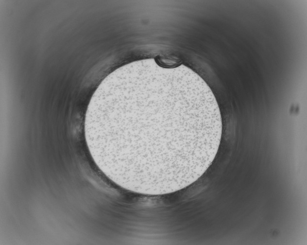 X0000110900077200907301616