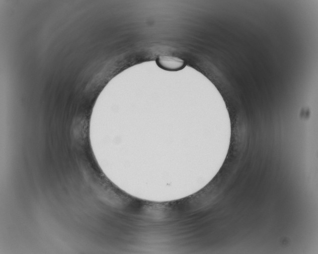 X0000110900079200907301616