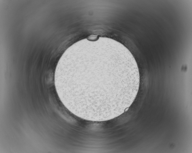 X0000110900081200907301616