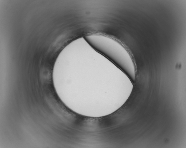 X0000110900084200907301616