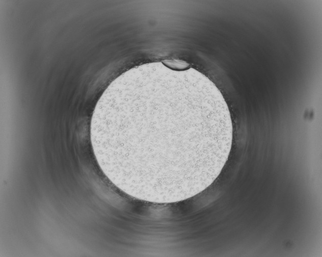 X0000110900085200907301616