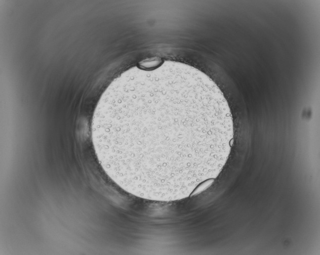 X0000110900089200907301616