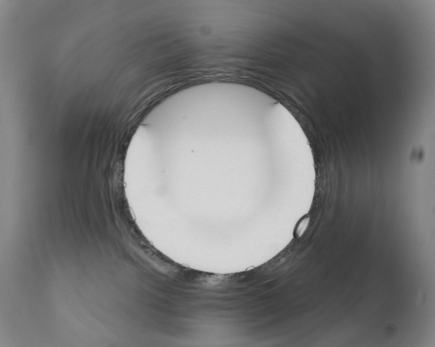 X0000110900092200907301616